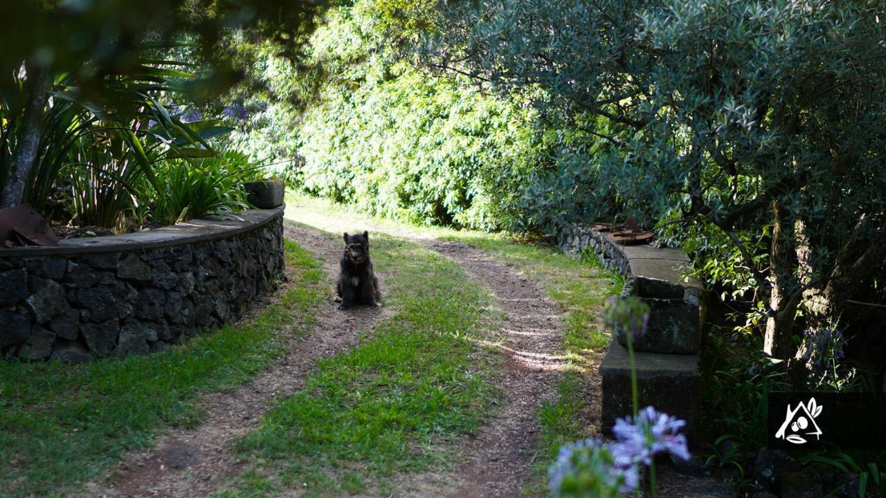 Quinta Do Paraiso Porto Martins Екстериор снимка