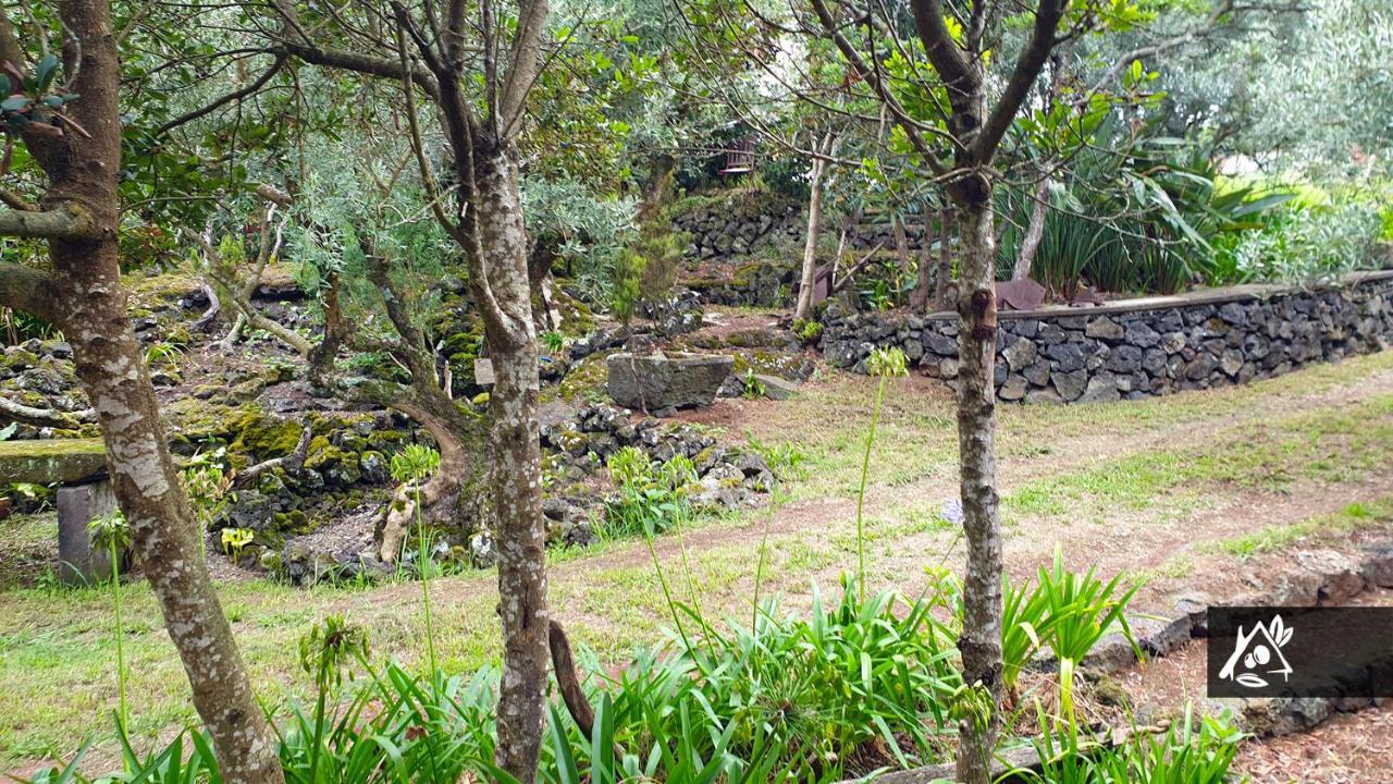 Quinta Do Paraiso Porto Martins Екстериор снимка